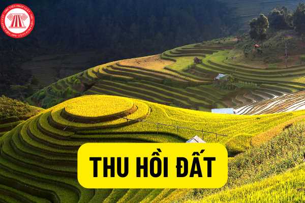 Đất nông nghiệp không sử dụng có bị thu hồi không?