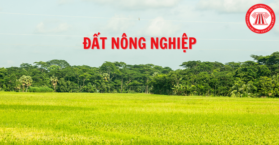 Thế nào là đất nông nghiệp nằm trong khu dân cư? Có được chuyển lên thổ cư?